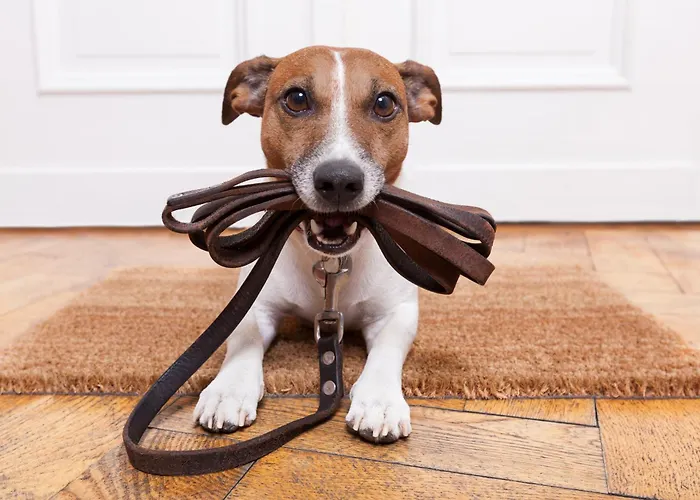 Haus Diamant By Schladming-appartements Appartement Schladming